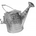 Behrens High Grade Steel 210 2.5 Gallon Hot Dipped Galvanized Steel Watering Can   563855648